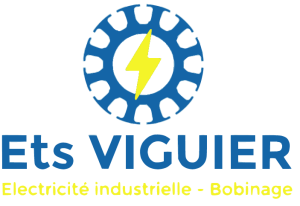 logo_grand_format Ets Viguier
